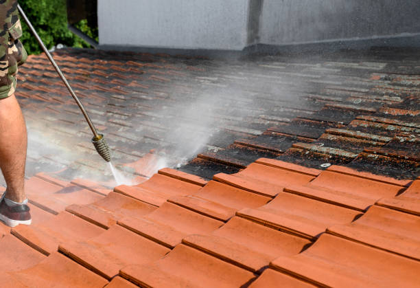 Best Sidewalk Pressure Washing  in Kingston Estates, NJ